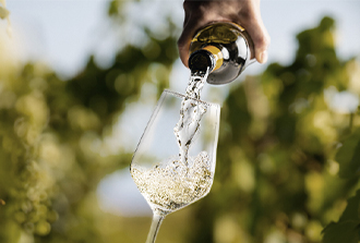 Presente y futuro de vino de Canarias