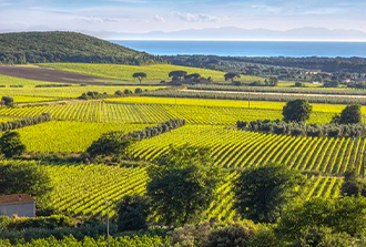 Vinos de mar sin linde