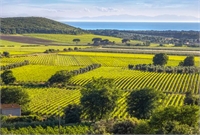 Vinos de mar sin linde